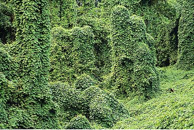 《剑星》PC版沿用虚幻4引擎 模组作者称“利好玩家”