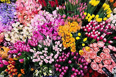 国外团队用GTA4引擎复刻《GTA：罪恶都市》